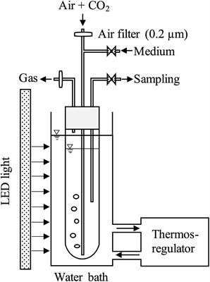 High Productivity of Eicosapentaenoic Acid and Fucoxanthin by a Marine Diatom Chaetoceros gracilis in a Semi-Continuous Culture